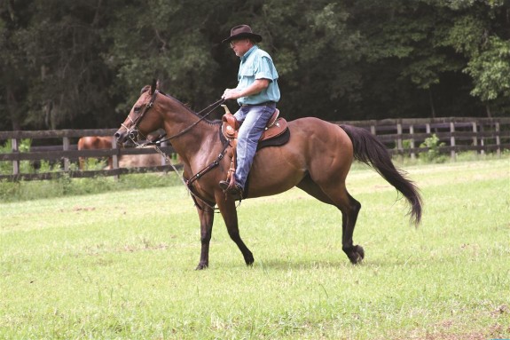 Horseback Riding