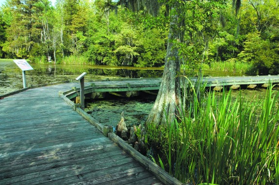 Old Santee Canal Park
